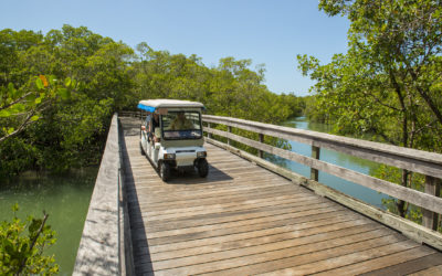 Pelican Bay Community -Tram and Boardwalk